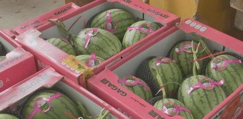 娱乐吃瓜酱礼物价格